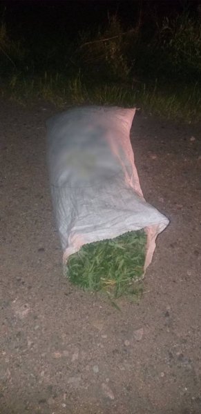 В Заиграевском районе полицейскими изъято более 2 килограммов марихуаны у водителя автомобиля